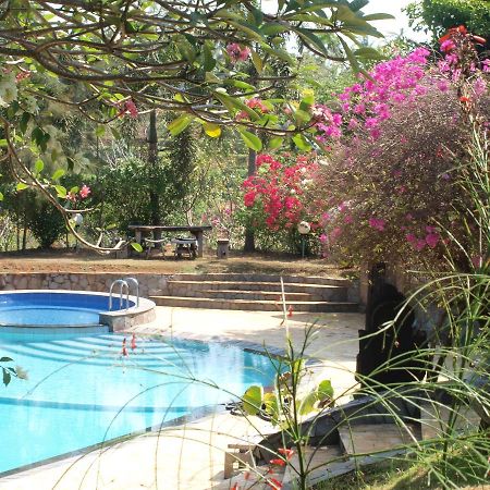 The Gecho Inn Country Jepara Extérieur photo